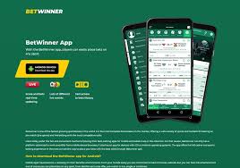 The Evolution of Sports Betting From Traditional Bets to Online Platforms The Evolution of Sports Betting From Traditional Bets to Online Platforms